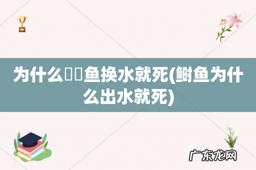 鲥鱼为什么出水就死 为什么鳑鲏鱼换水就死