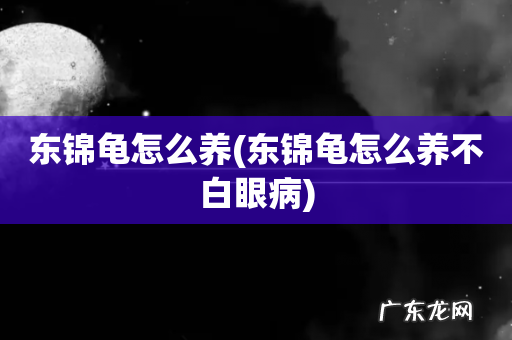 东锦龟怎么养不白眼病 东锦龟怎么养