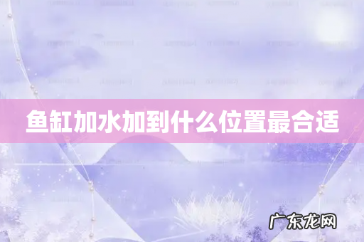 鱼缸加水加到什么位置最合适