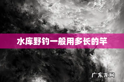 水库野钓一般用多长的竿