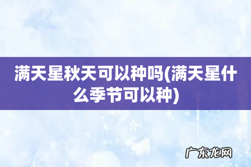 满天星什么季节可以种 满天星秋天可以种吗