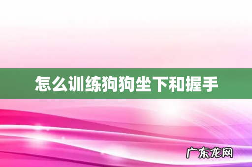 怎么训练狗狗坐下和握手