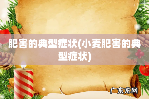 小麦肥害的典型症状 肥害的典型症状