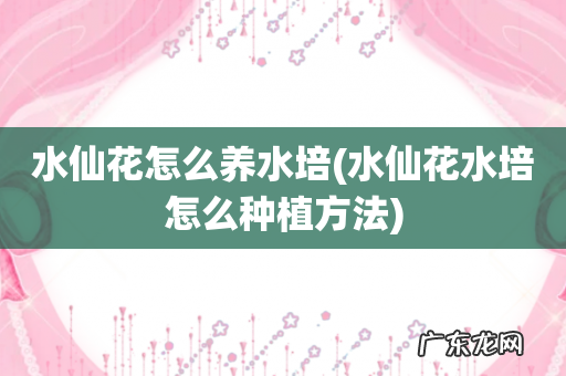 水仙花水培怎么种植方法 水仙花怎么养水培