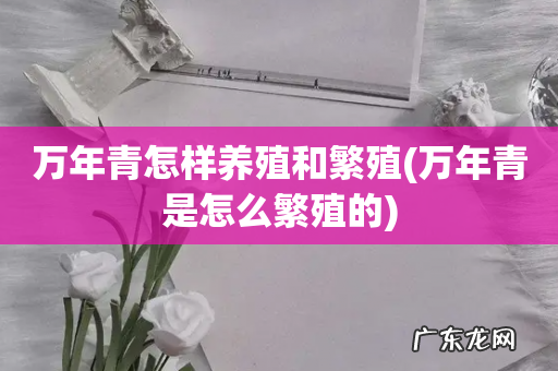 万年青是怎么繁殖的 万年青怎样养殖和繁殖