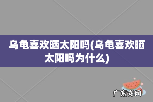 乌龟喜欢晒太阳吗为什么 乌龟喜欢晒太阳吗