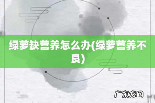 绿萝营养不良 绿萝缺营养怎么办