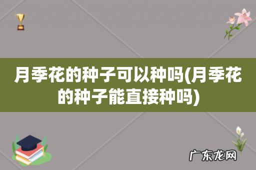 月季花的种子能直接种吗 月季花的种子可以种吗
