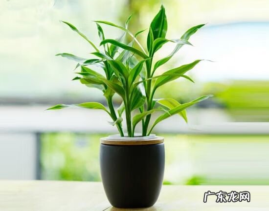 如何化解顶心煞 顶心煞影响什么