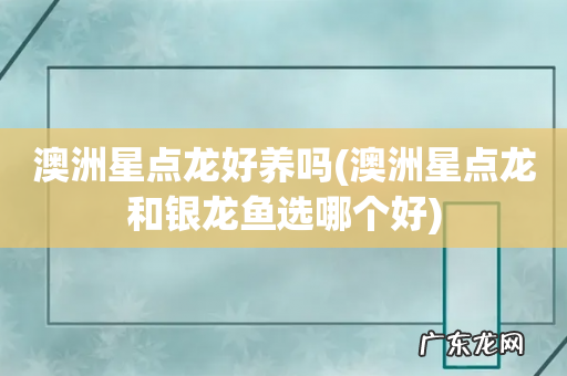 澳洲星点龙和银龙鱼选哪个好 澳洲星点龙好养吗