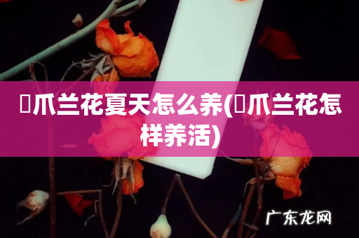 蠏爪兰花怎样养活 蠏爪兰花夏天怎么养