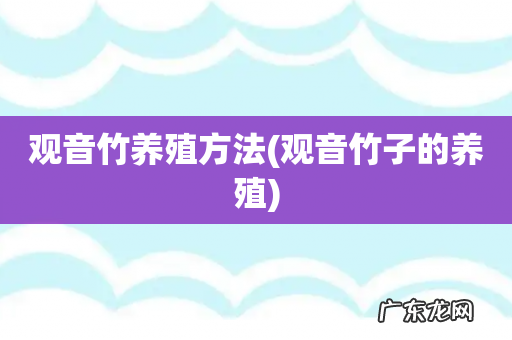 观音竹子的养殖 观音竹养殖方法