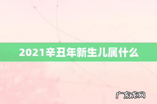 2021辛丑年新生儿属什么