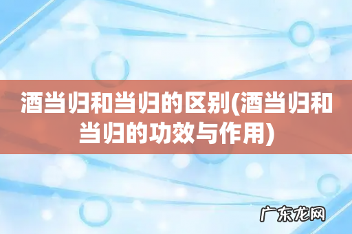 酒当归和当归的功效与作用 酒当归和当归的区别
