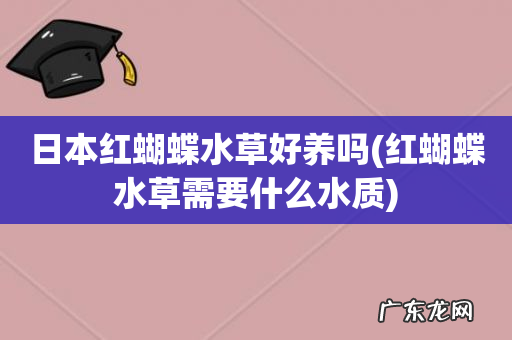 红蝴蝶水草需要什么水质 日本红蝴蝶水草好养吗