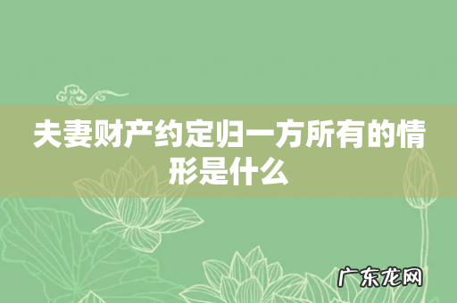 夫妻财产约定归一方所有的情形是什么