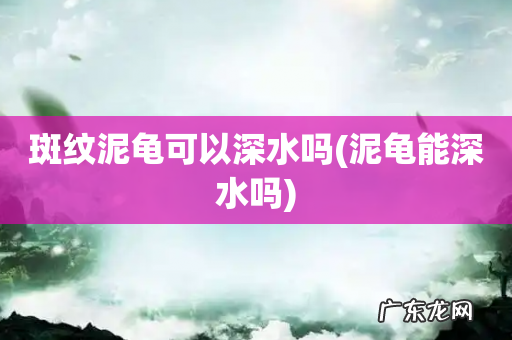 泥龟能深水吗 斑纹泥龟可以深水吗