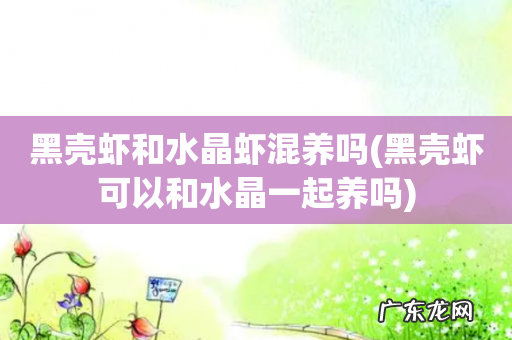 黑壳虾可以和水晶一起养吗 黑壳虾和水晶虾混养吗