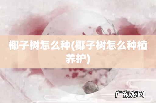 椰子树怎么种植养护 椰子树怎么种