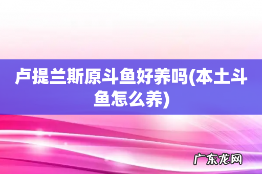 本土斗鱼怎么养 卢提兰斯原斗鱼好养吗