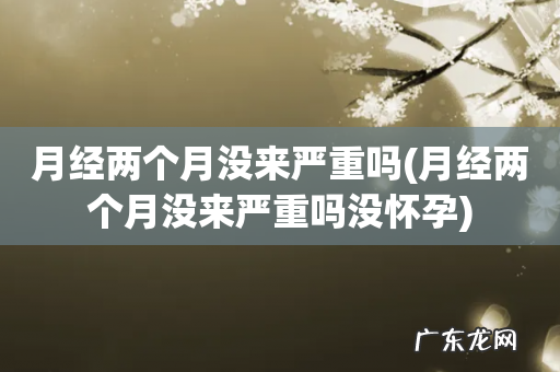 月经两个月没来严重吗没怀孕 月经两个月没来严重吗