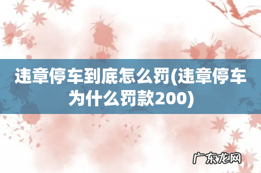 违章停车为什么罚款200 违章停车到底怎么罚