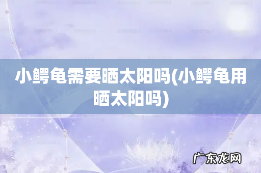 小鳄龟用晒太阳吗 小鳄龟需要晒太阳吗