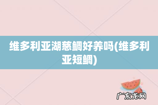 维多利亚短鲷 维多利亚湖慈鲷好养吗