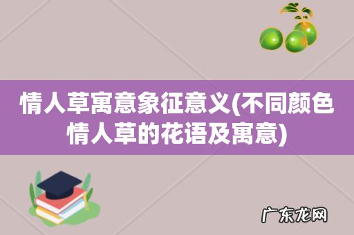 不同颜色情人草的花语及寓意 情人草寓意象征意义