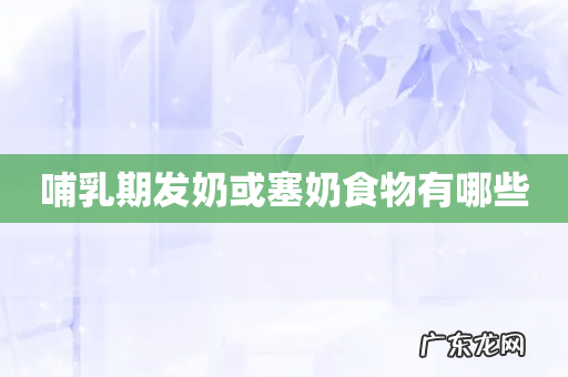 哺乳期发奶或塞奶食物有哪些