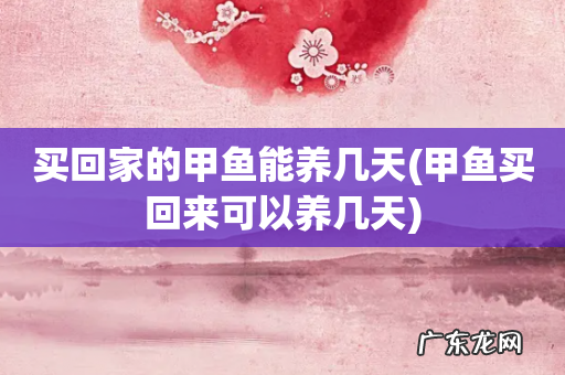 甲鱼买回来可以养几天 买回家的甲鱼能养几天