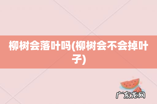 柳树会不会掉叶子 柳树会落叶吗