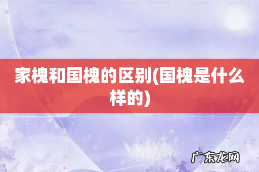 国槐是什么样的 家槐和国槐的区别