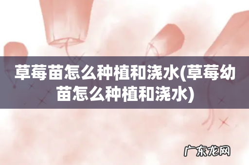 草莓幼苗怎么种植和浇水 草莓苗怎么种植和浇水