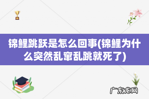 锦鲤为什么突然乱窜乱跳就死了 锦鲤跳跃是怎么回事