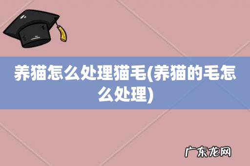 养猫的毛怎么处理 养猫怎么处理猫毛