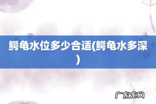 鳄龟水多深 鳄龟水位多少合适