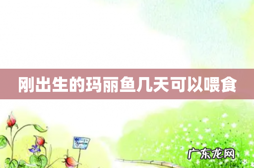 刚出生的玛丽鱼几天可以喂食