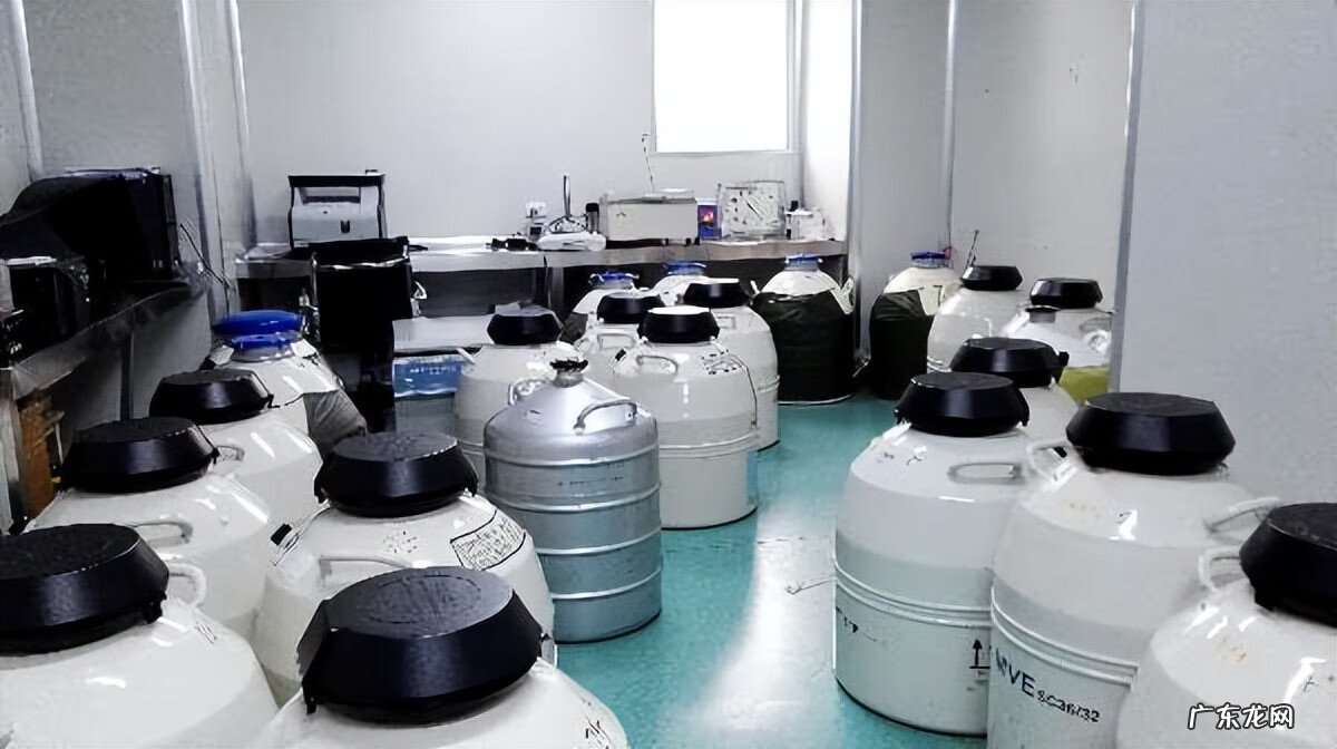 借卵试管成功率有多少 借卵试管流程