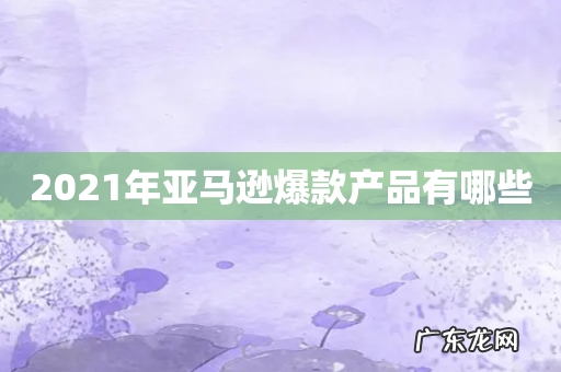 2021年亚马逊爆款产品有哪些
