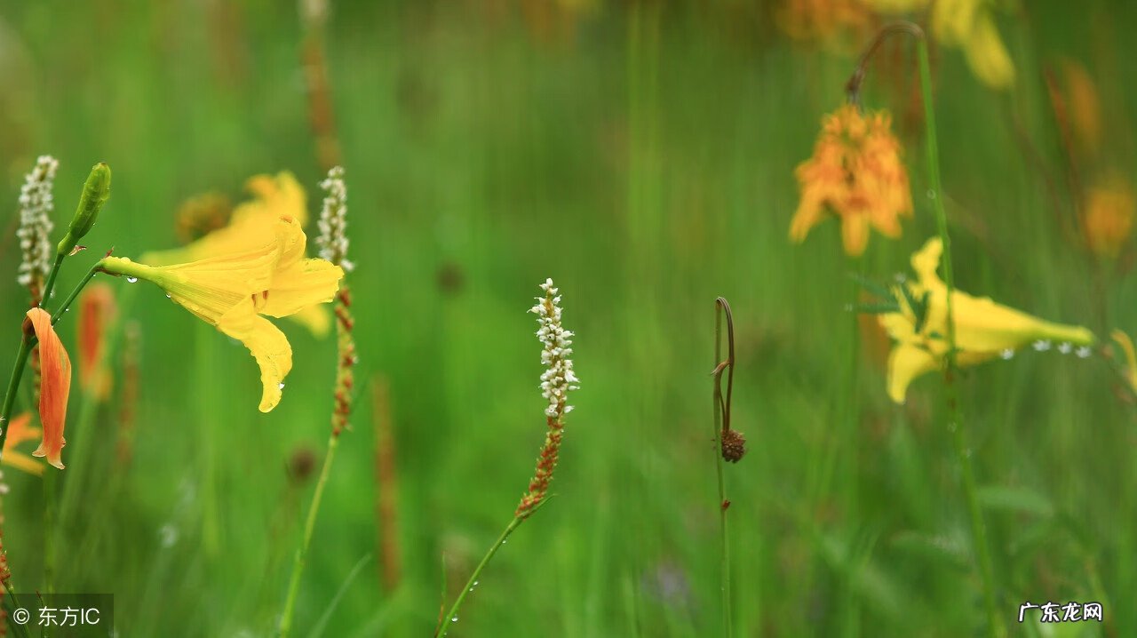 上海 阴宅 河水是阴阳水吗