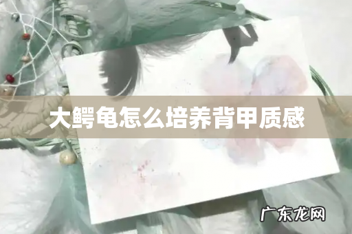 大鳄龟怎么培养背甲质感