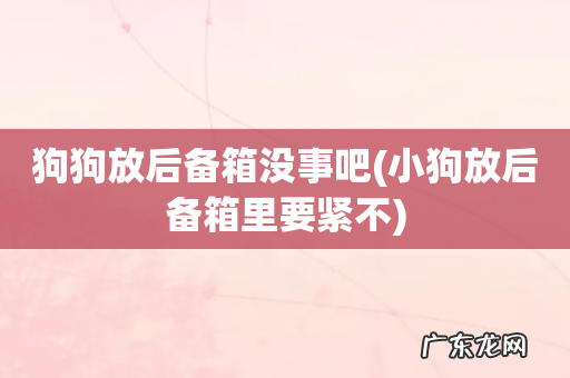 小狗放后备箱里要紧不 狗狗放后备箱没事吧