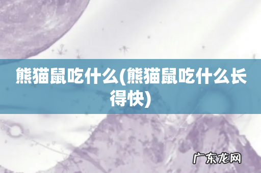 熊猫鼠吃什么长得快 熊猫鼠吃什么