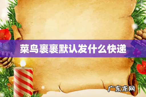 菜鸟裹裹默认发什么快递