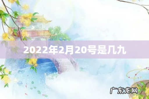 2022年2月20号是几九
