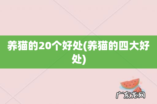 养猫的四大好处 养猫的20个好处