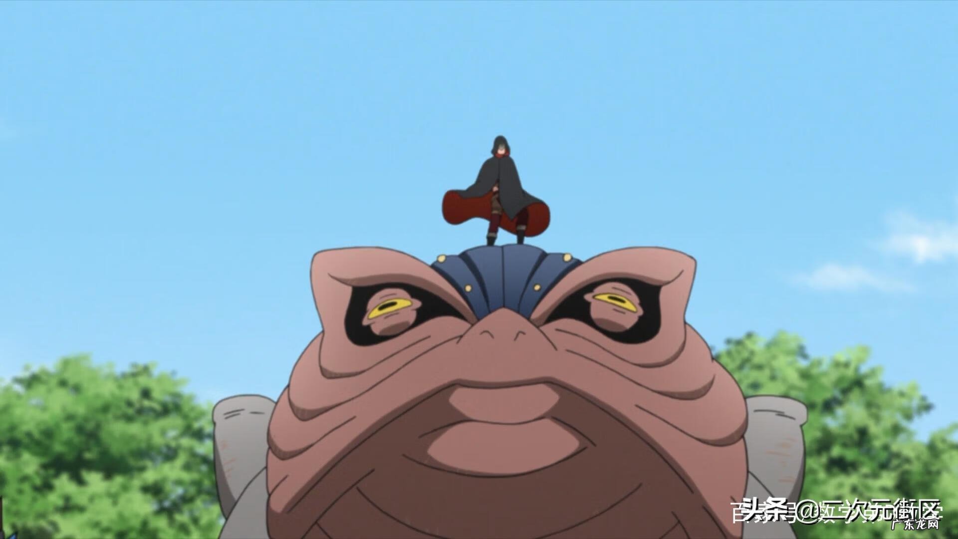 重生之轮回眼传说