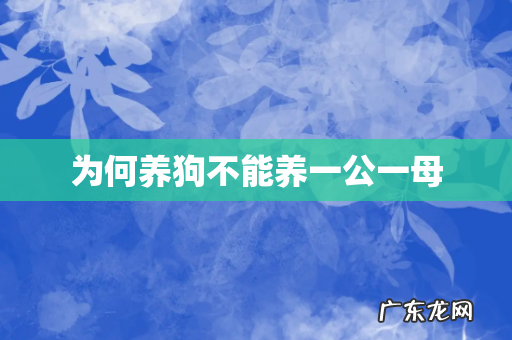 为何养狗不能养一公一母