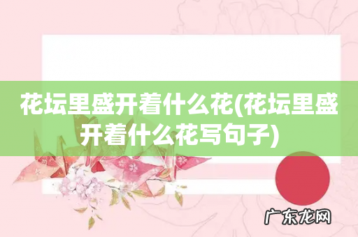 花坛里盛开着什么花写句子 花坛里盛开着什么花